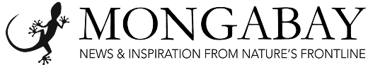 Mongabay