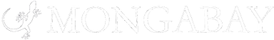 Mongabay