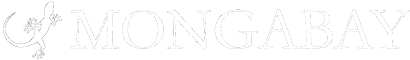 Mongabay
